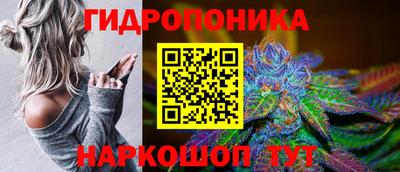 СК Владикавказ
