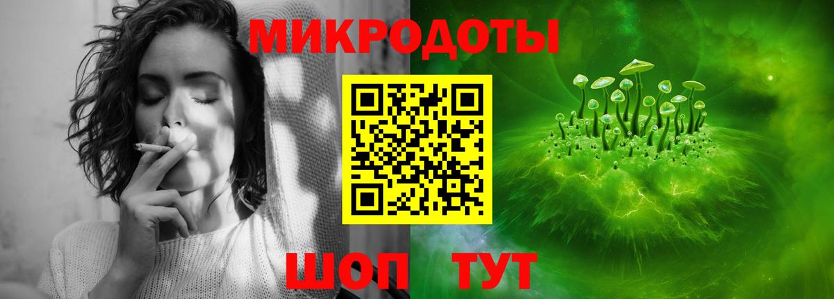 Псилоцибиновые грибы Psilocybe  Вход с VPN  Астрахань 